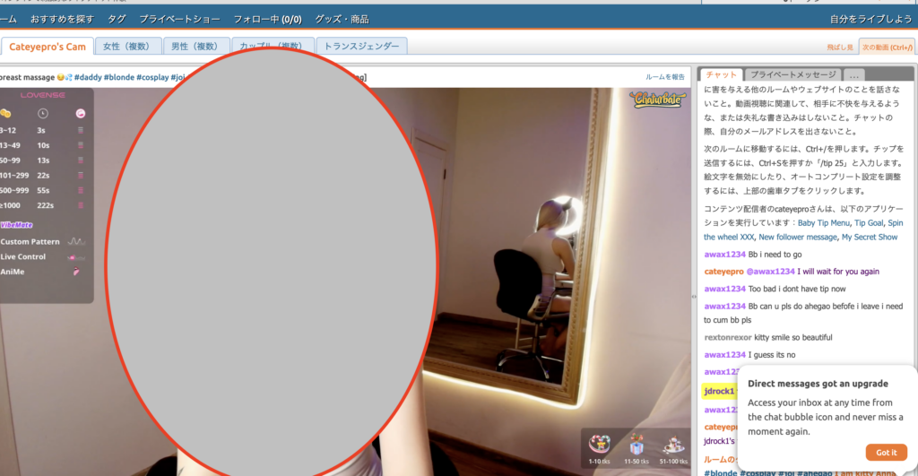 Chaturbateのユーザー画面