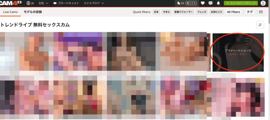 CAM4のユーザー画面