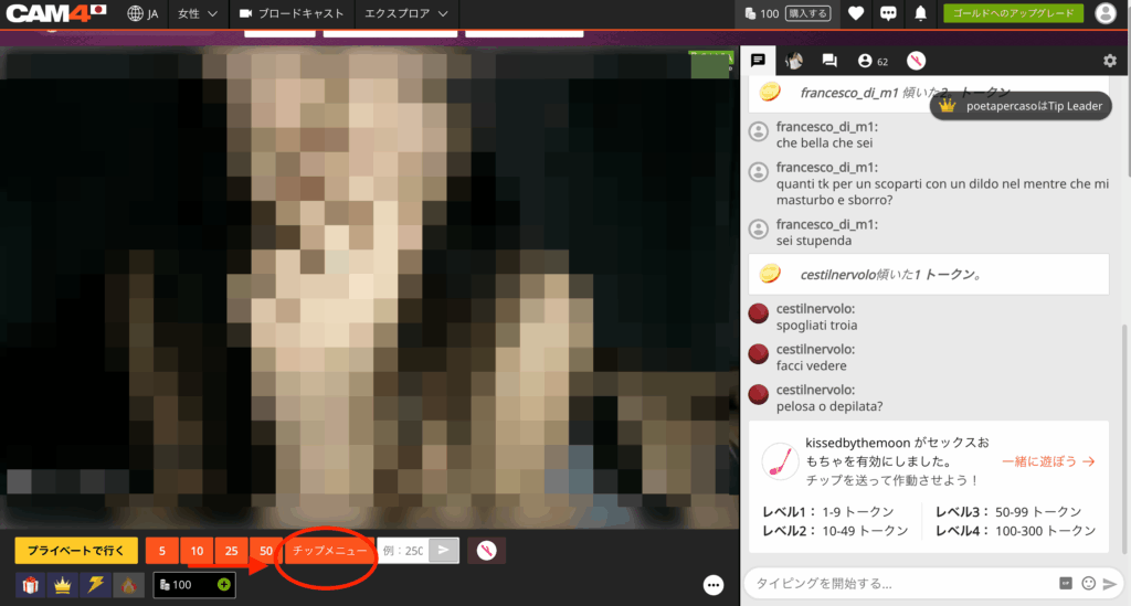CAM4のチャット画面