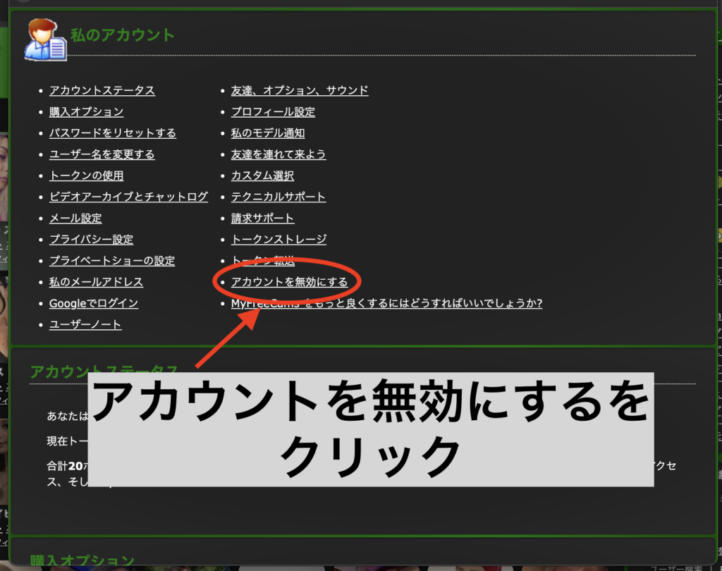 MyFreeCamsのユーザー画面