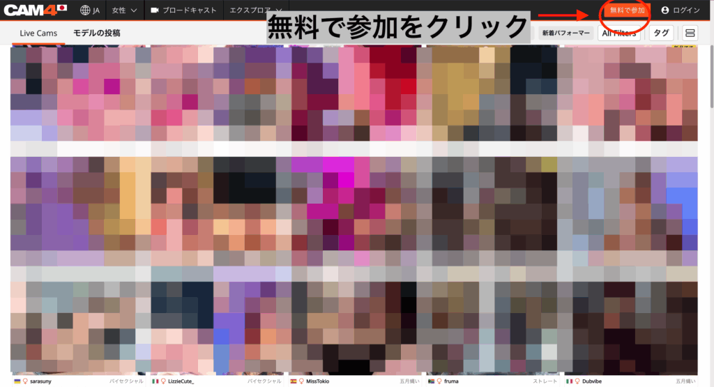 CAM4のユーザー画面