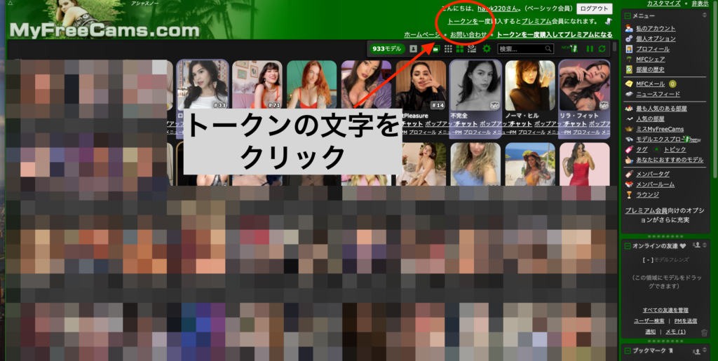 MyFreeCamsのユーザー画面