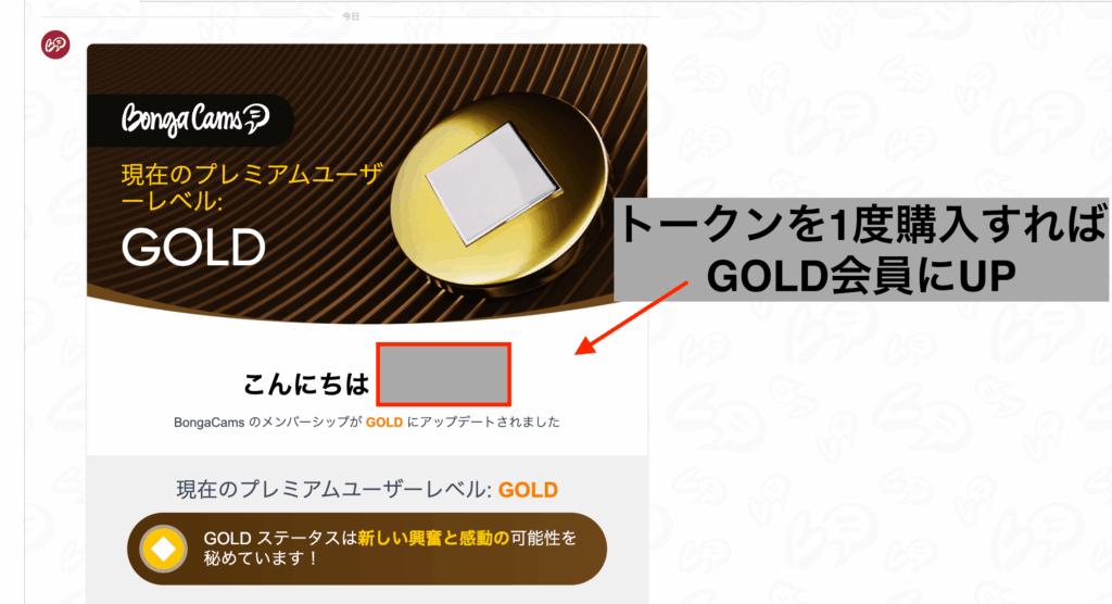 プレミアムユーザーレベル