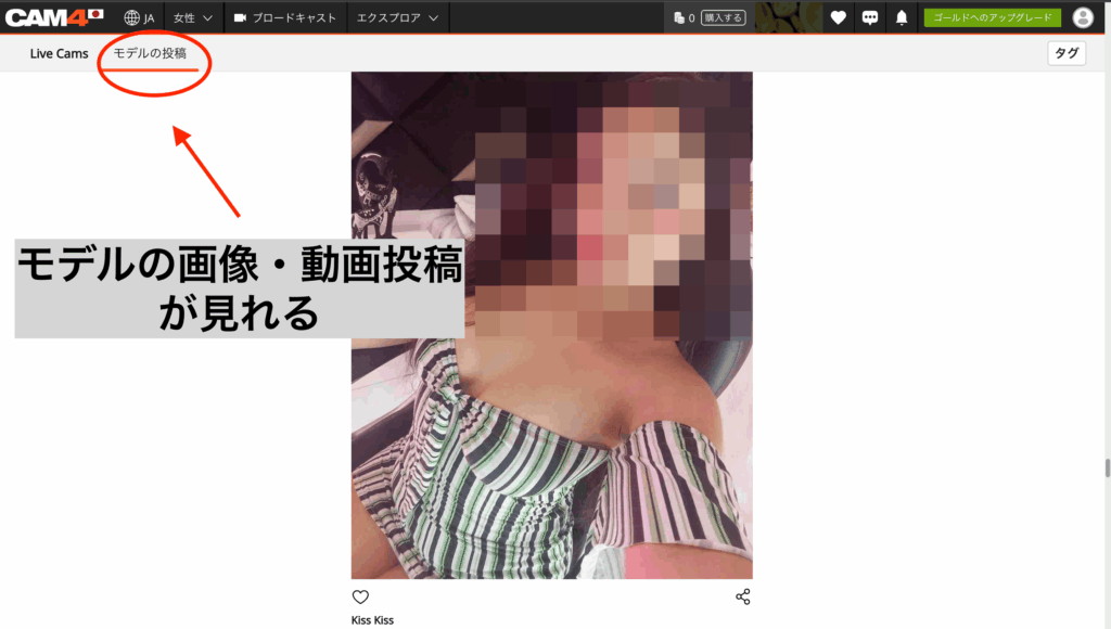 CAM4のモデル投稿