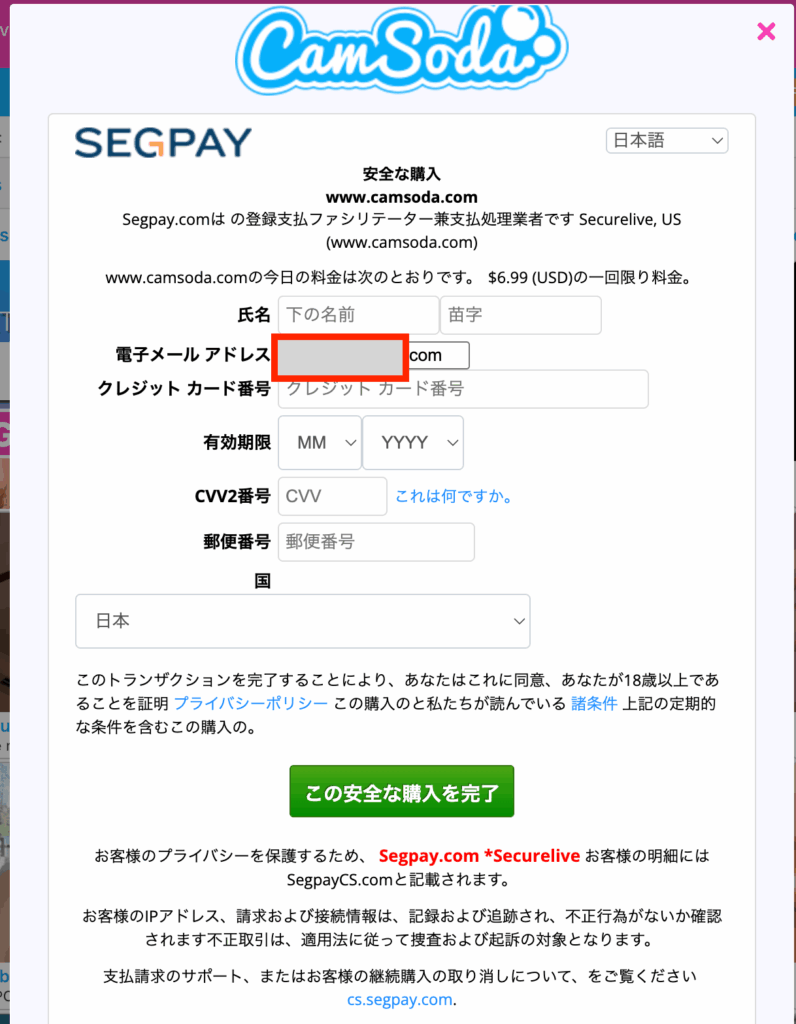 SEGPAY支払い画面