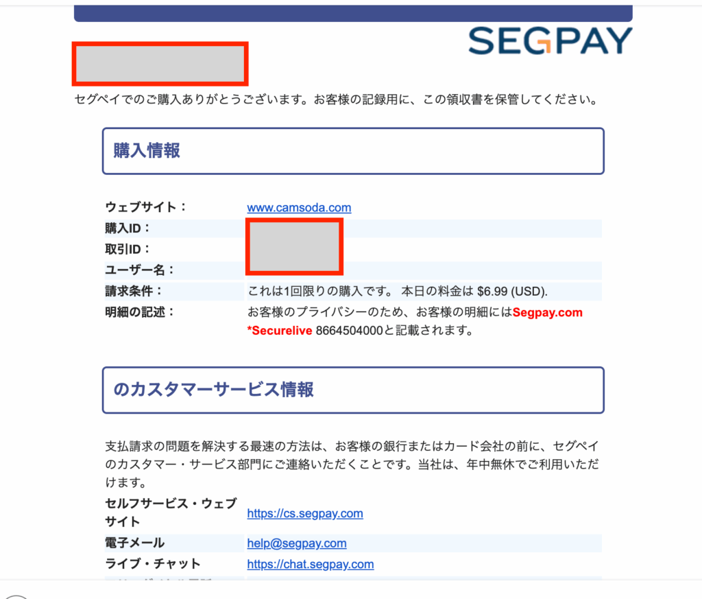 SEGPAYの領収書