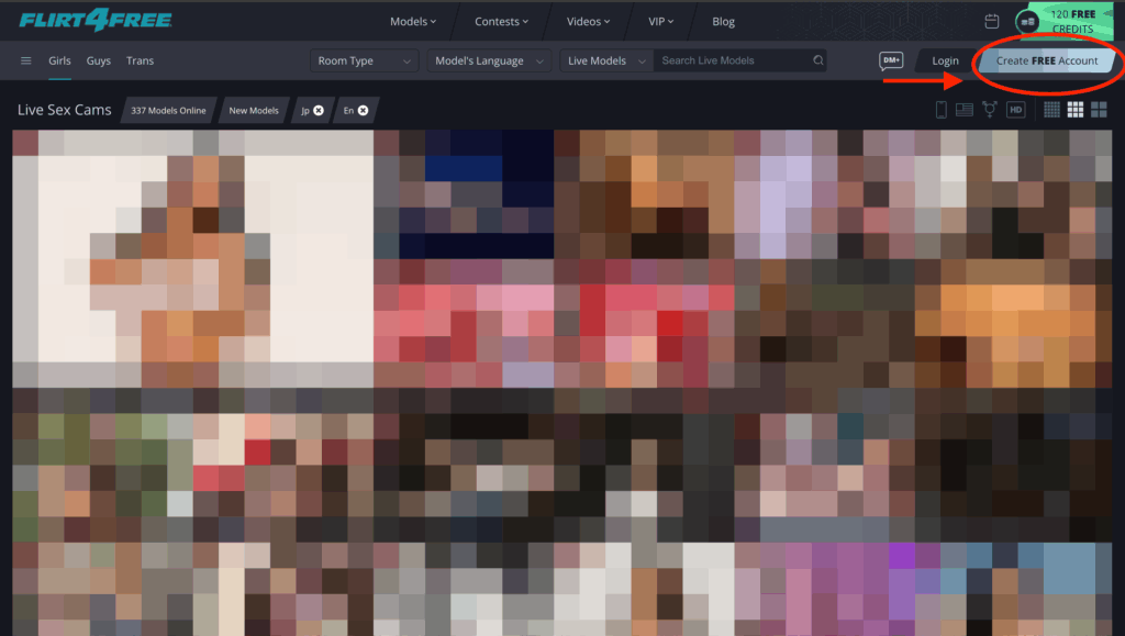 Flirt4Free公式サイト