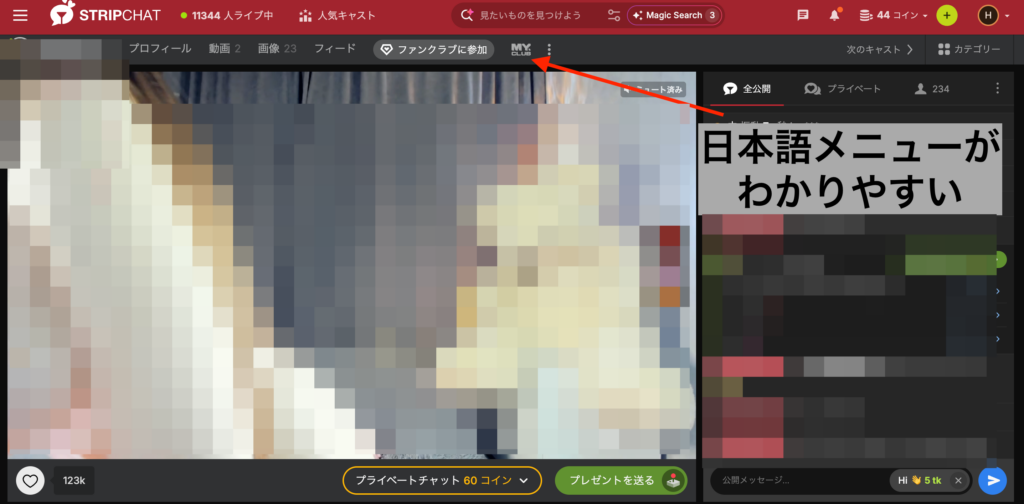 Stripchatのチャット画像