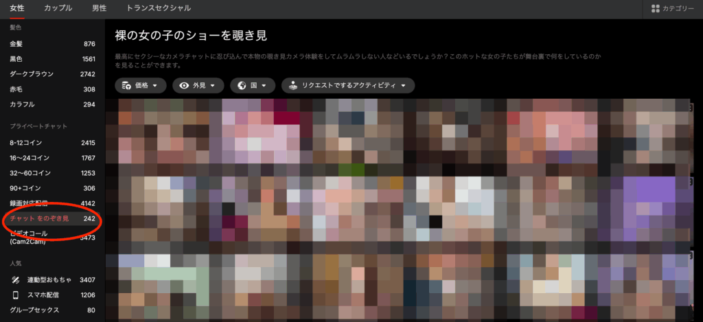 Stripchatのユーザー画面