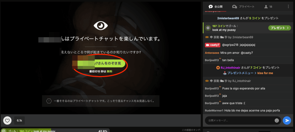 Stripchatのプライベートチャット