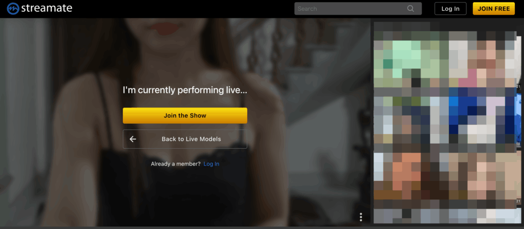 ゴールドショーへの参加