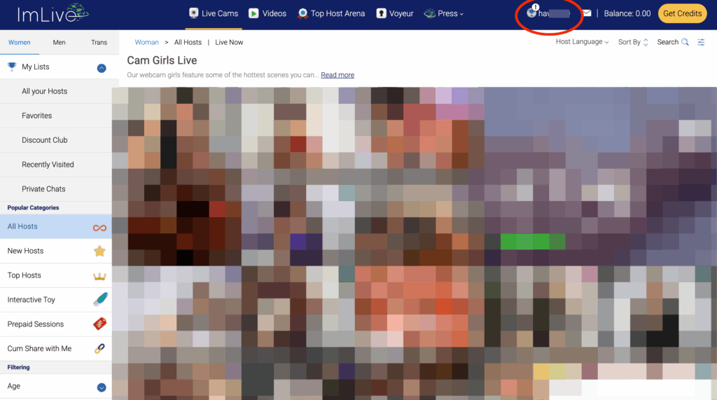 ImLiveの公式サイト