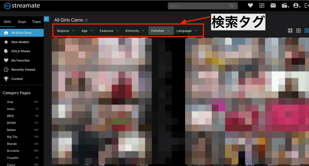 Streamate公式サイト