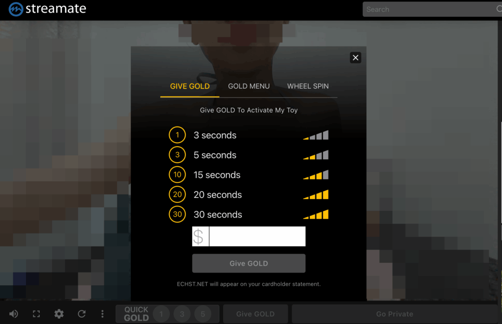 チップ入力画面