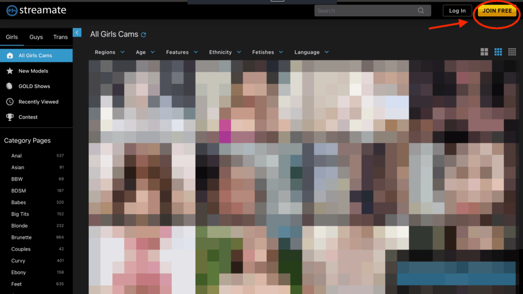 Streamate公式サイト
