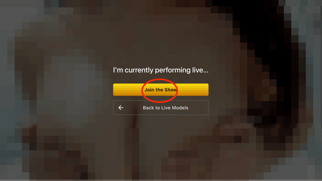 ショーへの参加