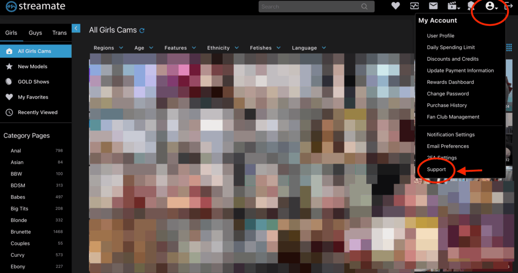 Streamate公式サイト
