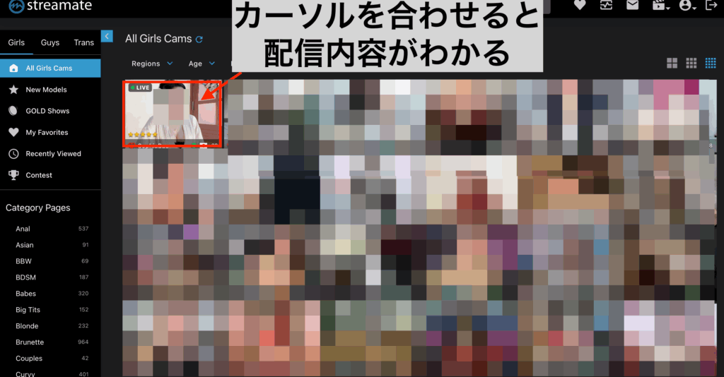 Streamate公式サイト