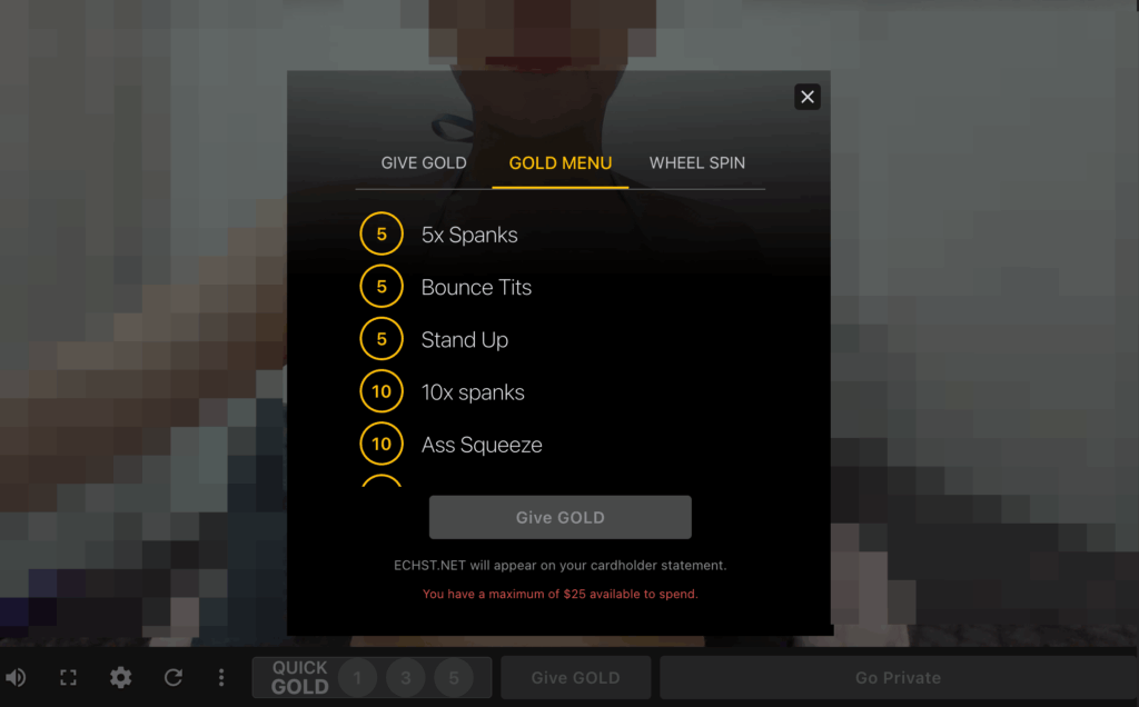 チップ入力画面