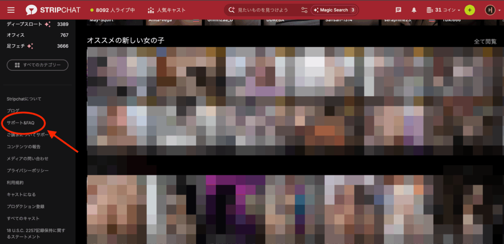 Stripchatユーザー画面