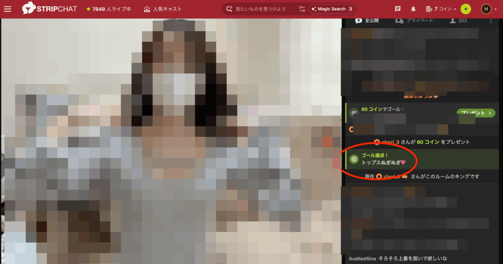 Stripchatのチャット画面