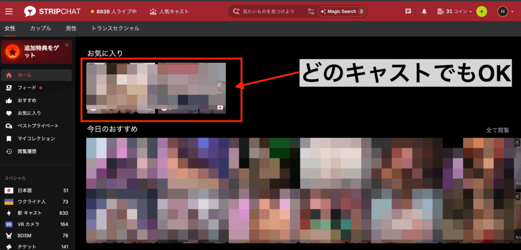 Stripchatユーザー画面