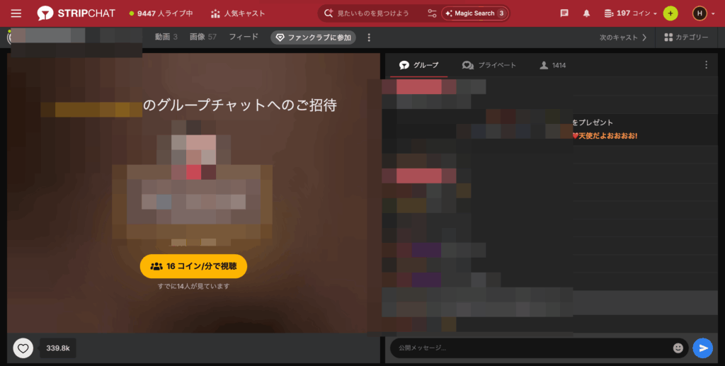 Stripchatのチャットルーム