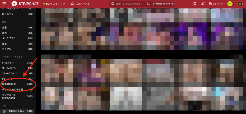 Stripchatのユーザー画面