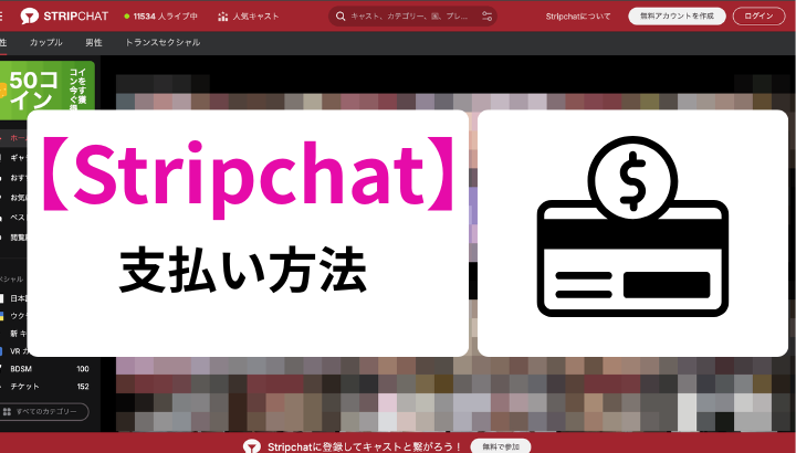 Stripchat 支払い方法