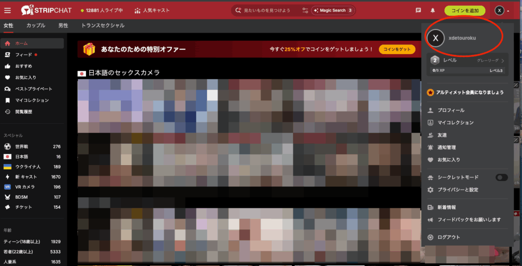 Stripchatのユーザー画面
