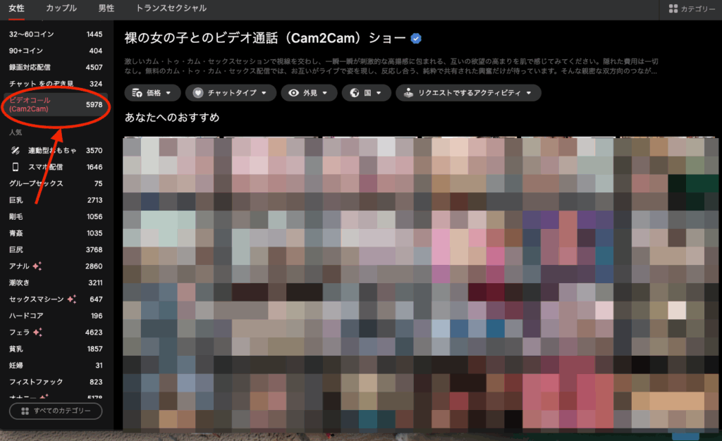 Stripchatユーザー画面