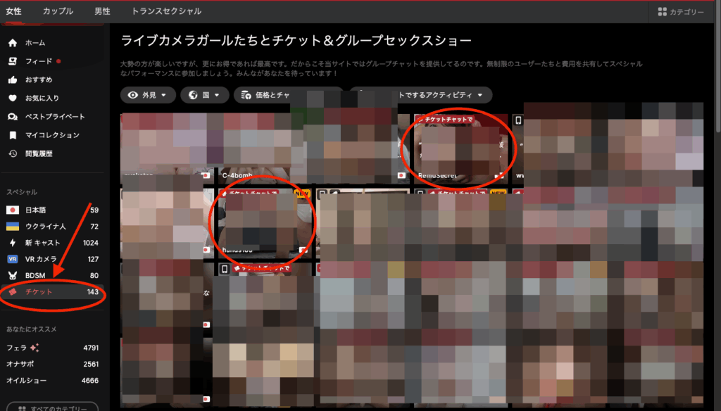 Stripchatユーザー画面