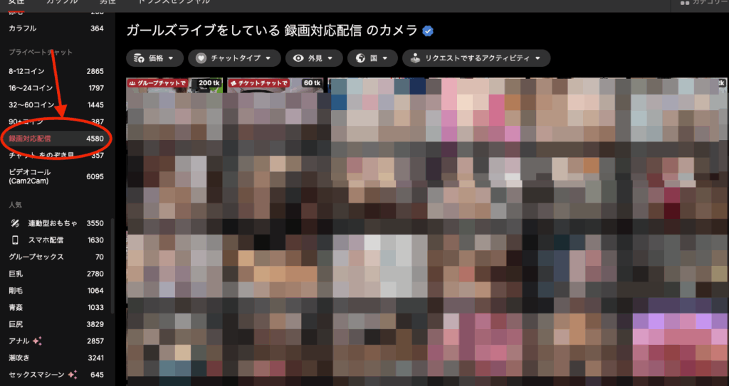 Stripchatユーザー画面