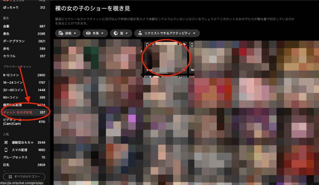 Stripchatユーザー画面